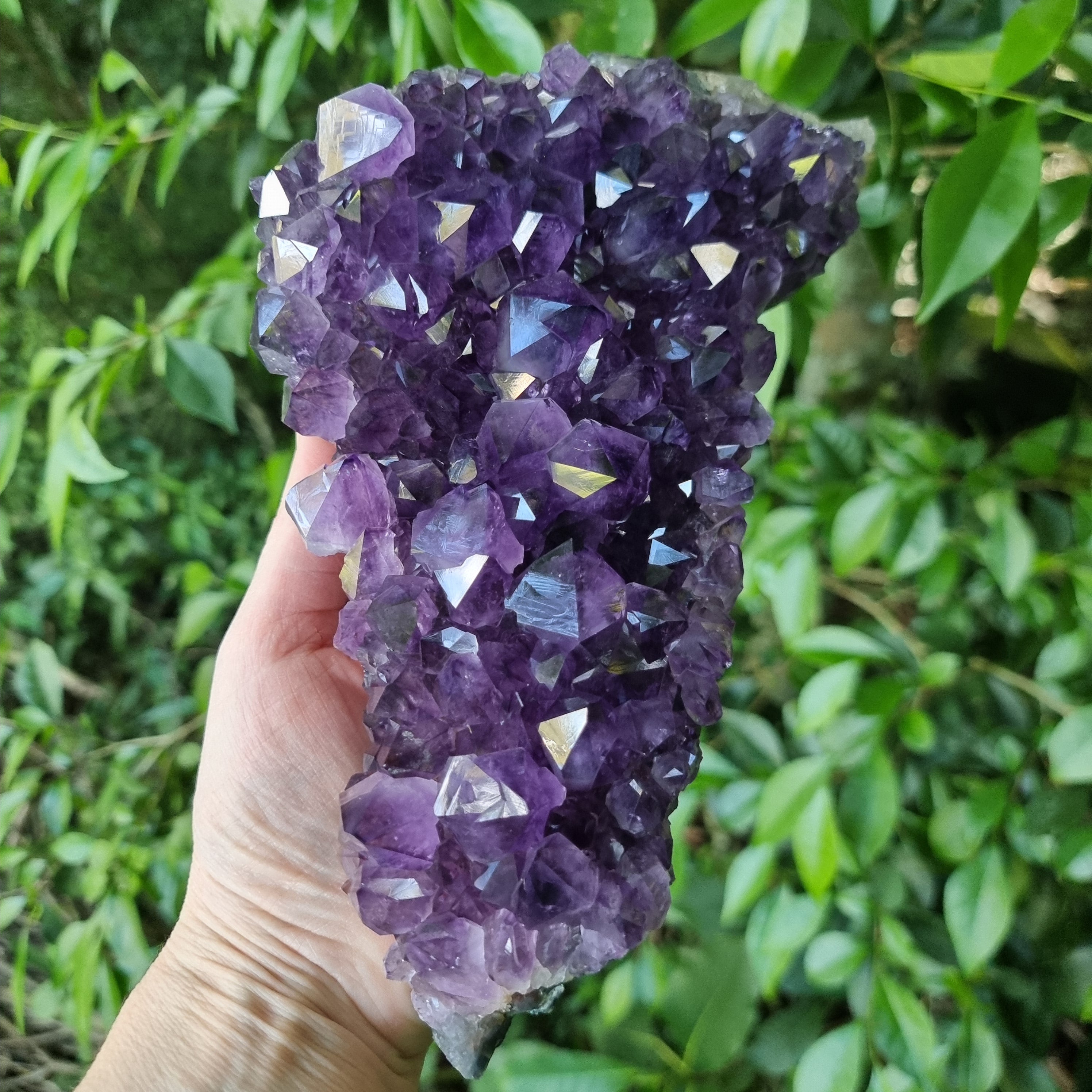 Drusas de Amatista Súper Violeta | Peso 1,90 Kgs, Longitud 20 cm | Energía, Belleza y Sofisticación