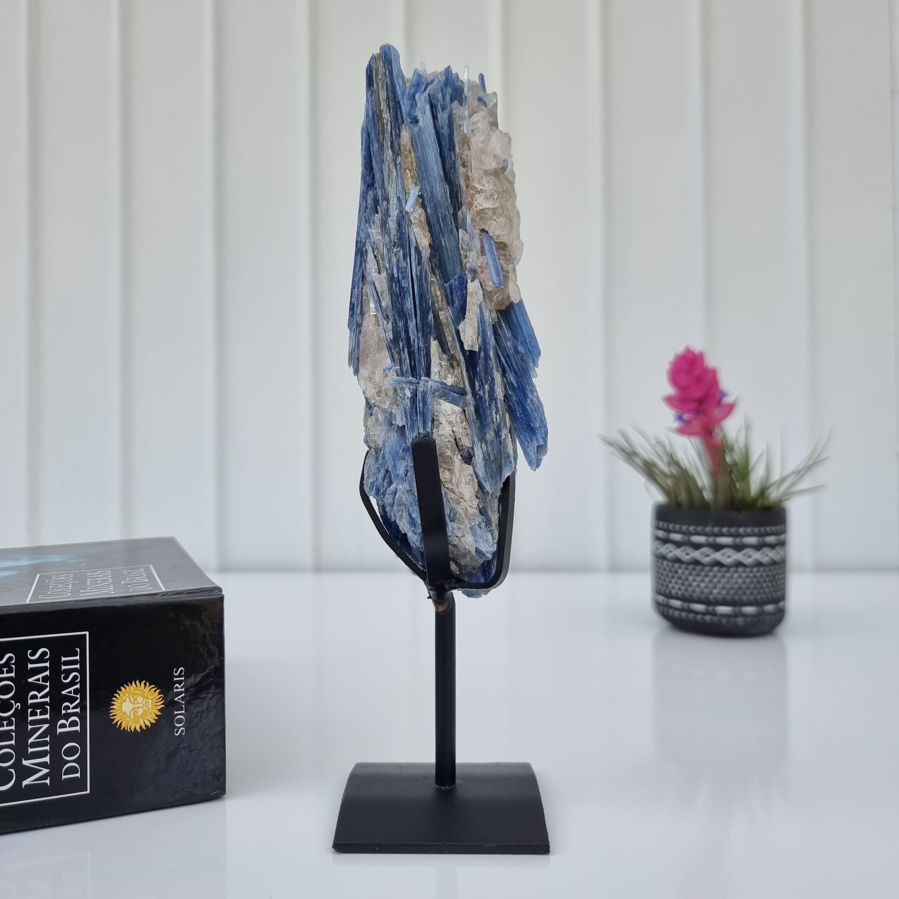 Special Natural Kyanite | Weight 0.70 Kgs, Height 24 cm | Energy, Beauty and Sophistication