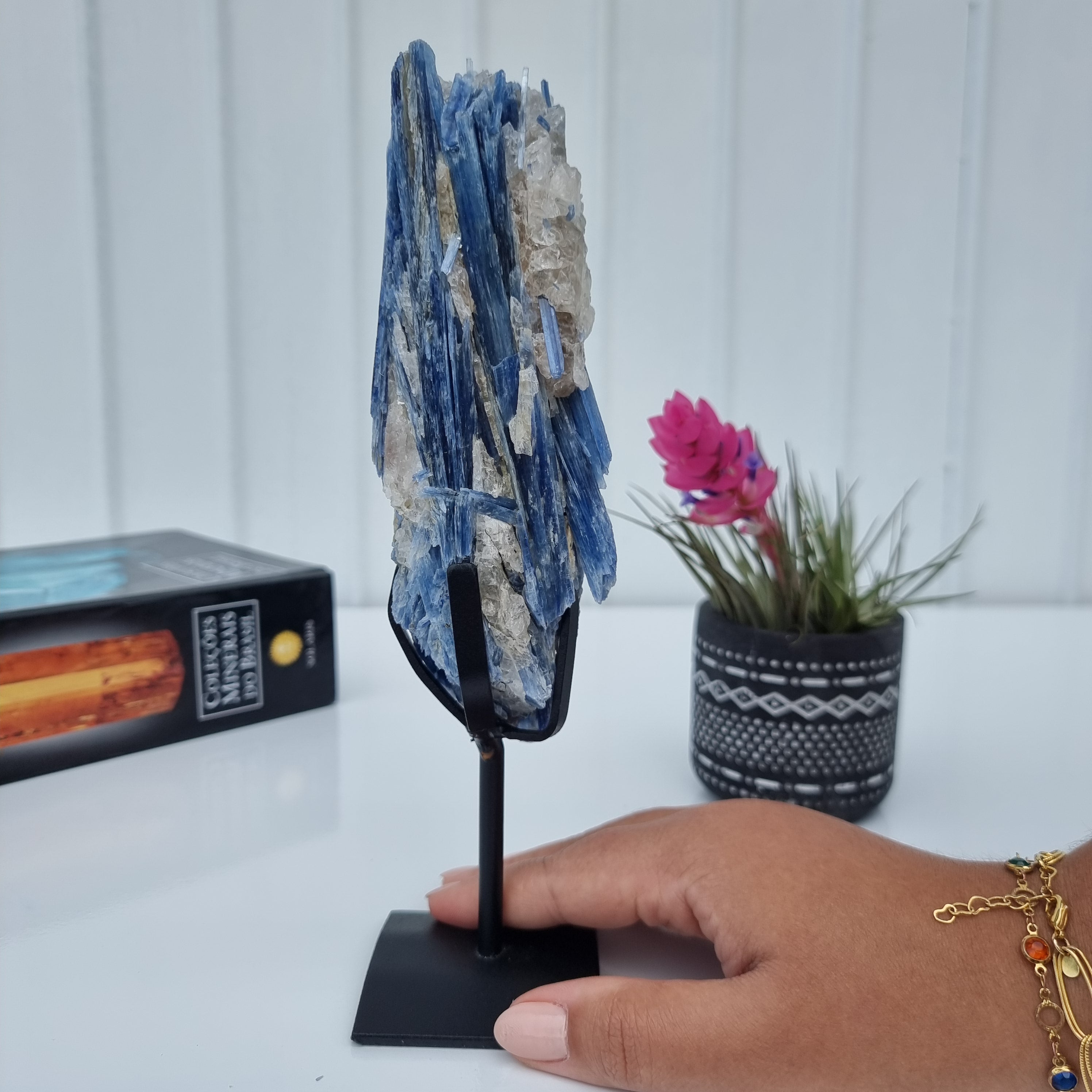 Special Natural Kyanite | Weight 0.70 Kgs, Height 24 cm | Energy, Beauty and Sophistication