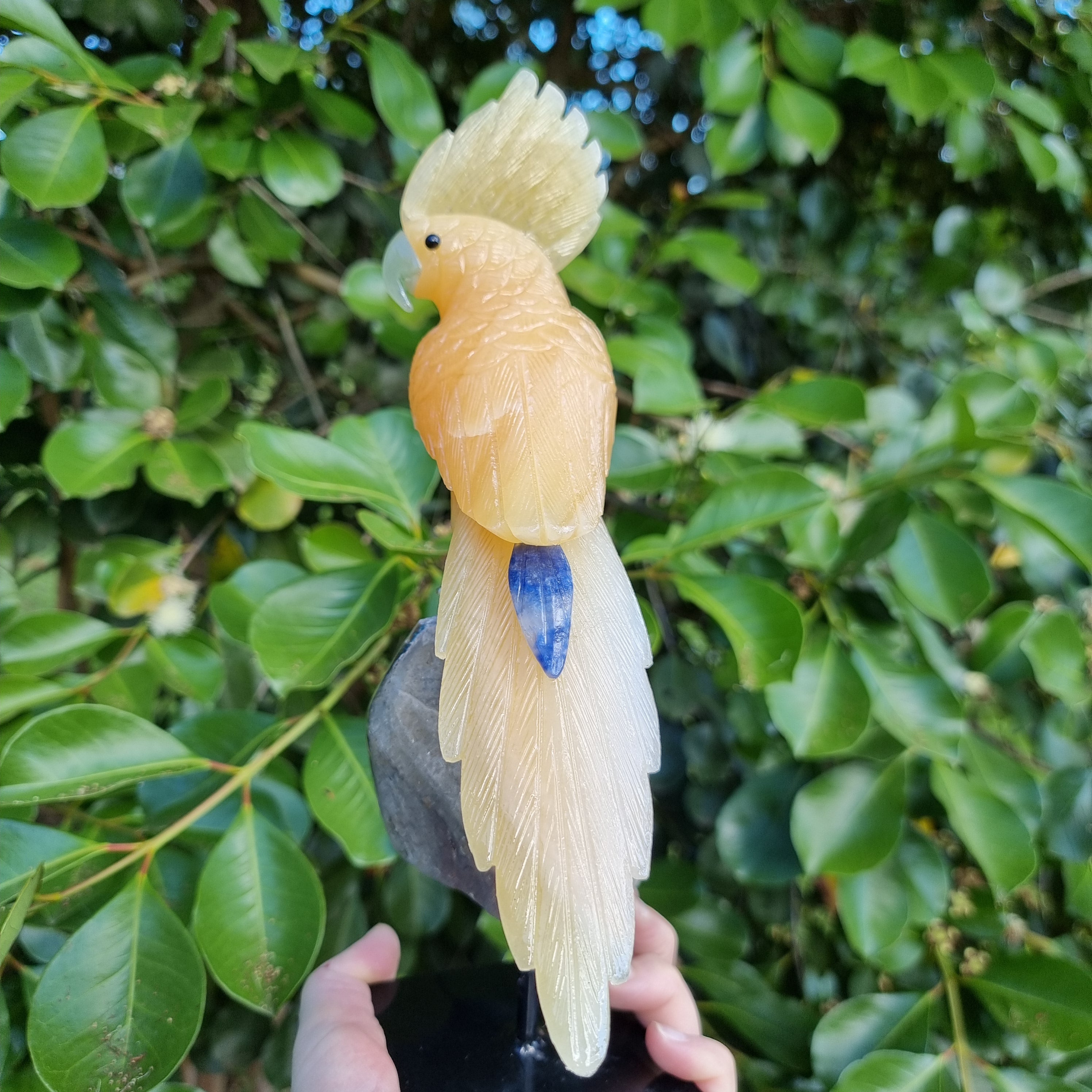 Pájaro de CALCITA Natural Especial | Peso 1,06 Kgs, Altura 28 cm | Exclusivo, Energía y Belleza