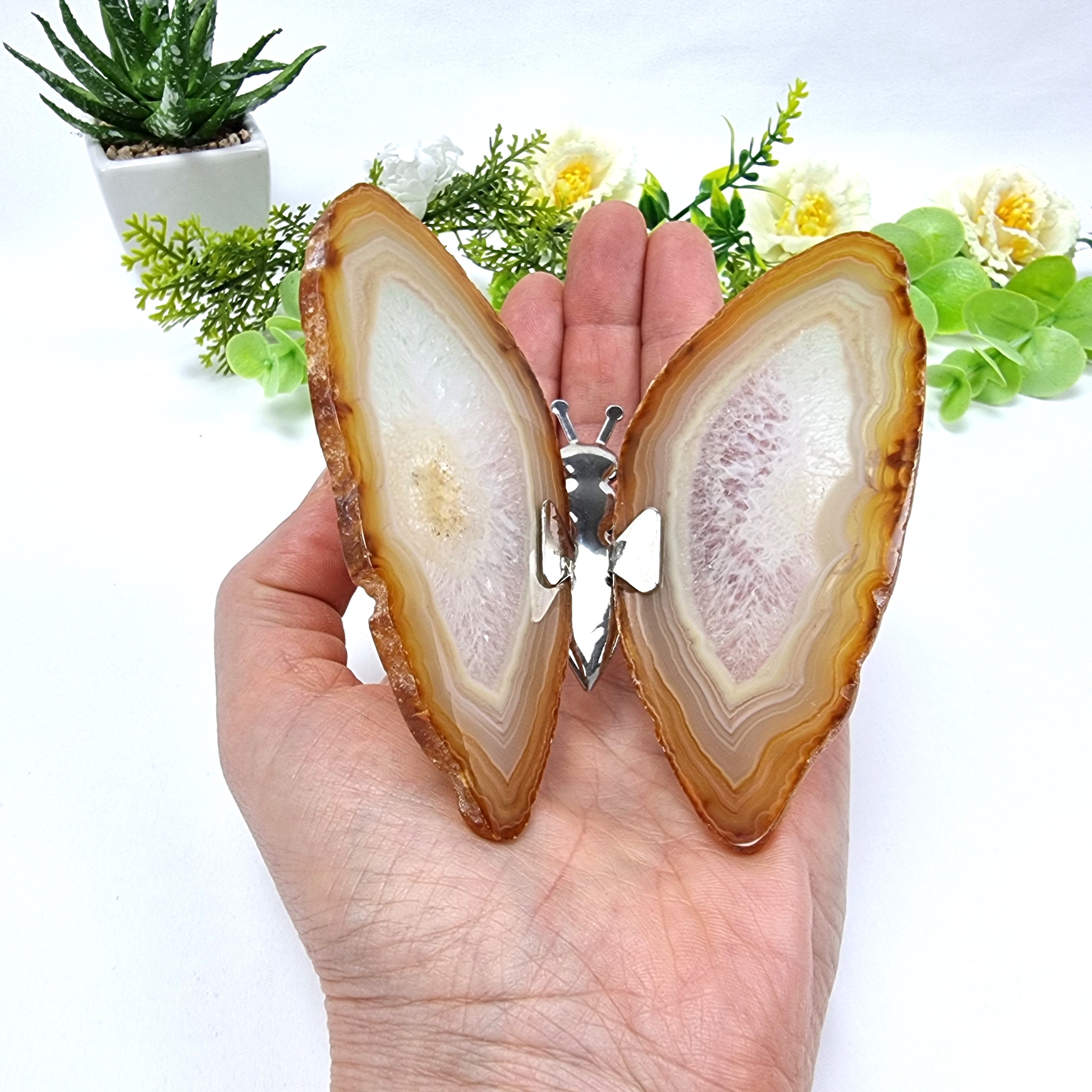 Agate Wings Butterfly set of 2 pieces, Agate Slice Butterfly pair, size 3 to 4 inches, available in different colors