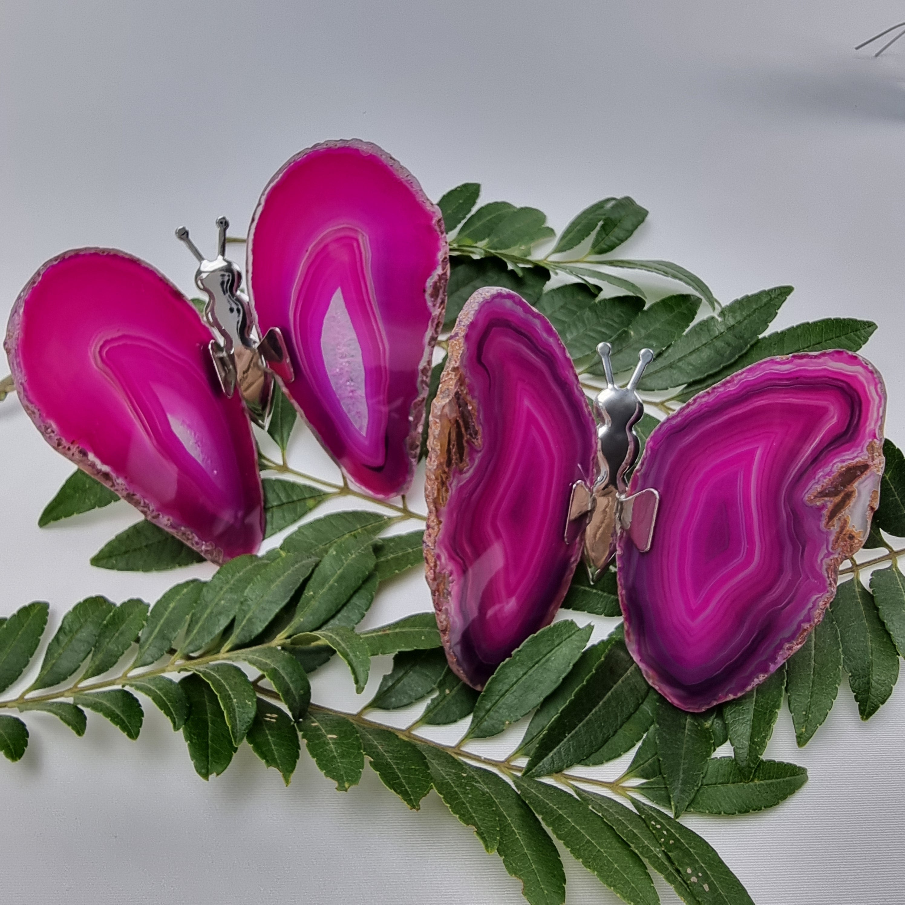 Agate Wings Butterfly set of 2 pieces, Agate Slice Butterfly pair, size 3 to 4 inches, available in different colors