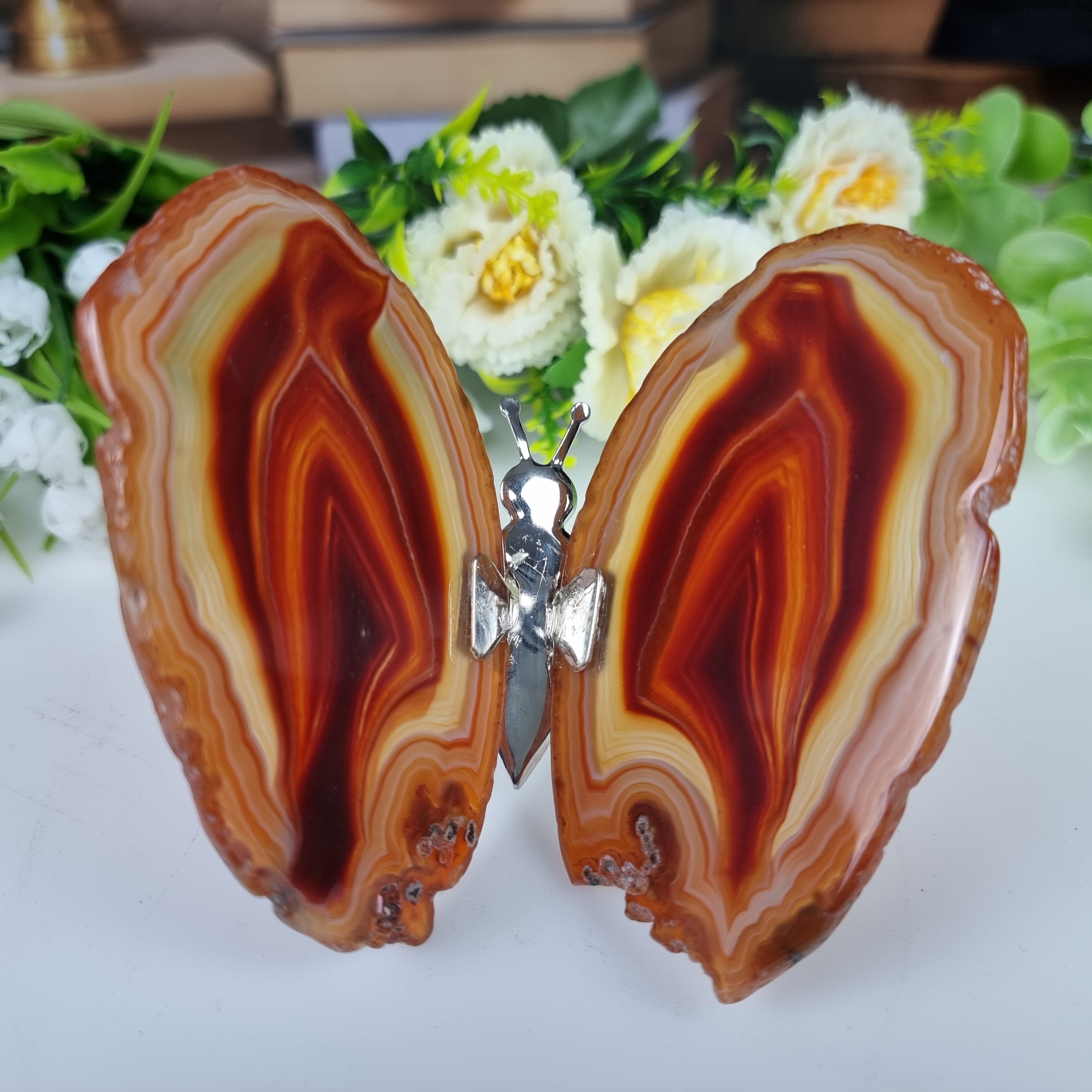 Mariposas Ágata Natural Insecto tamaño 10 a 12 cm Plata y peso 150 gramos